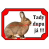 Cedulka králík vídeňský šedý