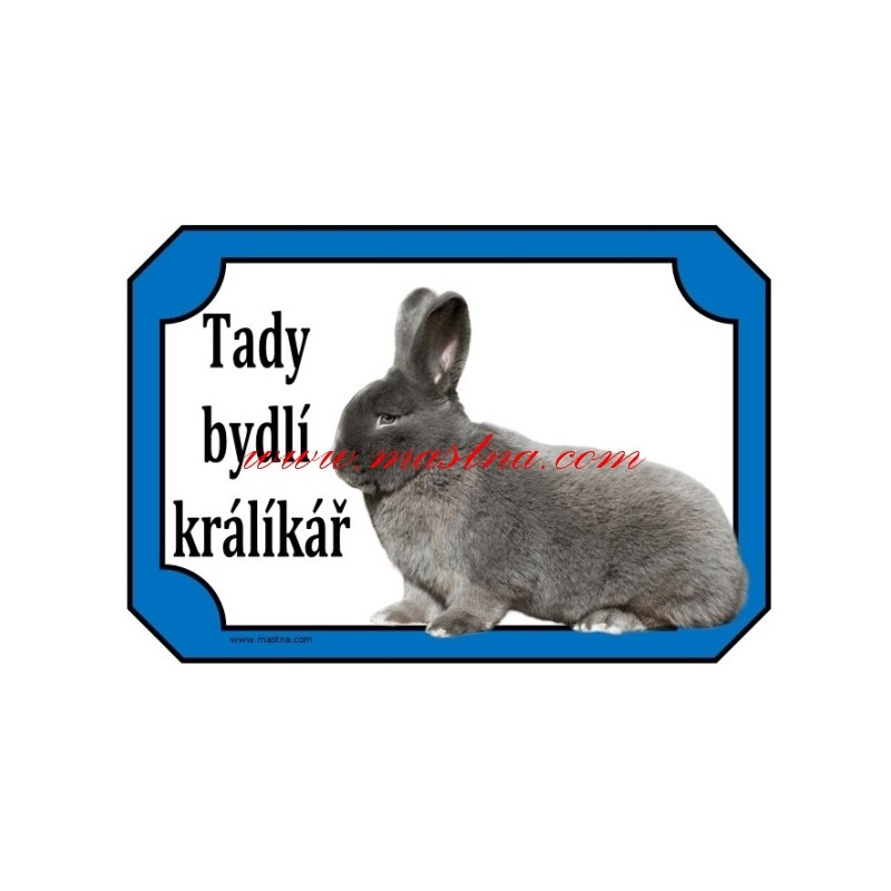 Cedulka králík vídeňský modrý