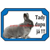 Cedulka králík vídeňský modrý