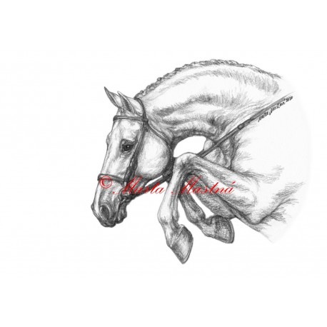 Obraz parkur, kůň, koně, tužka - tisk