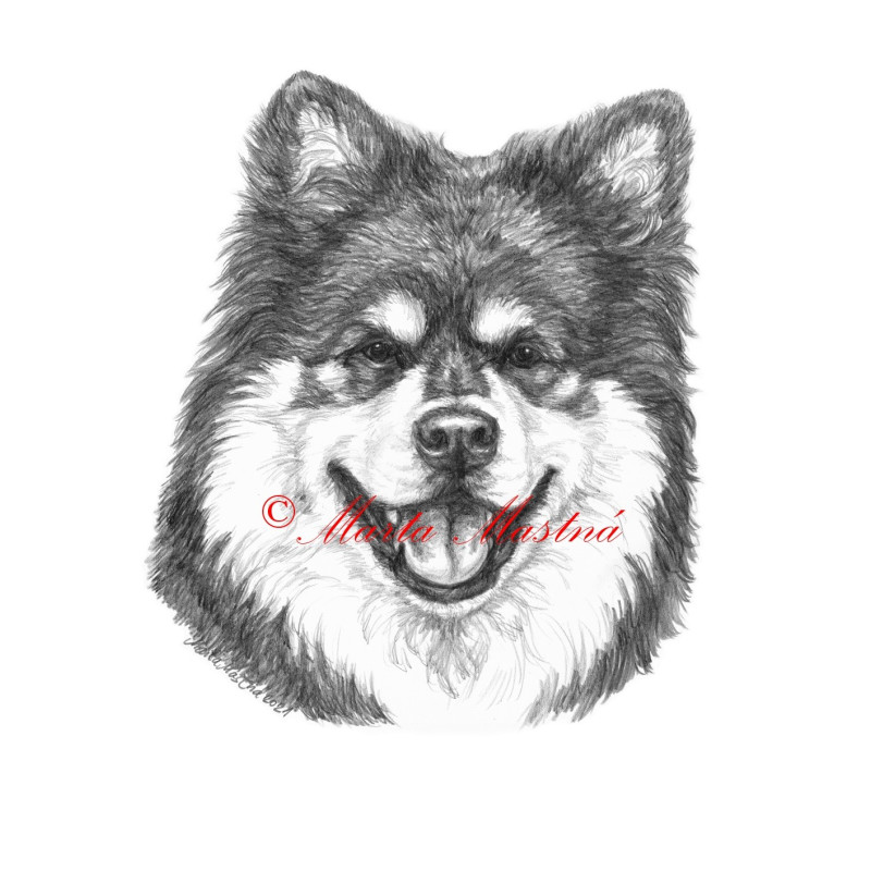 Obraz lapinkoira, tužka - tisk