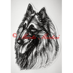 Belgický ovčák tervueren