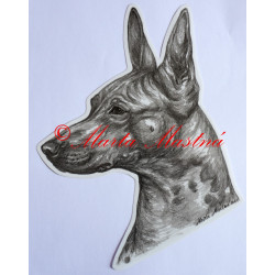 Samolepka americký bezsrstý teriér