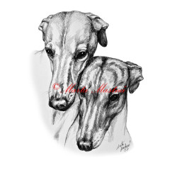 Autorský tisk vipet