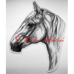 Samolepka kůň kladrubský