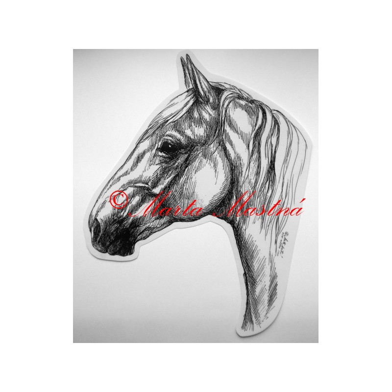 Samolepka kůň kladrubský