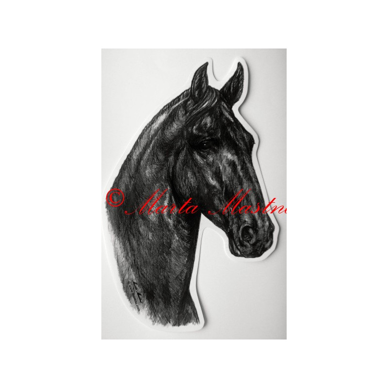 Samolepka kůň kladrubský