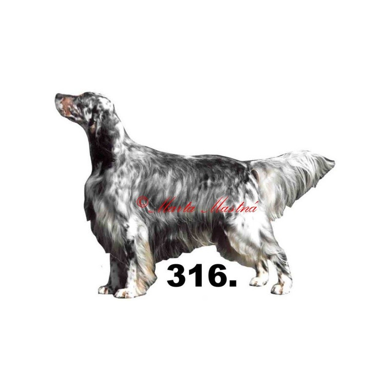 Samolepka anglický setr - archiv