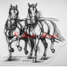 Samolepka kůň kladrubský, lipicán, spřežení