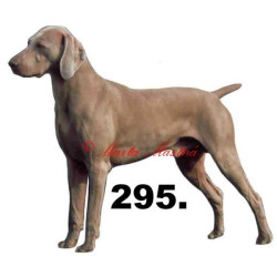 Výmarský ohař - archiv