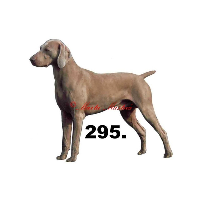 Výmarský ohař - archiv