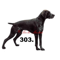 Německý krátkosrstý ohař hnědý - archiv