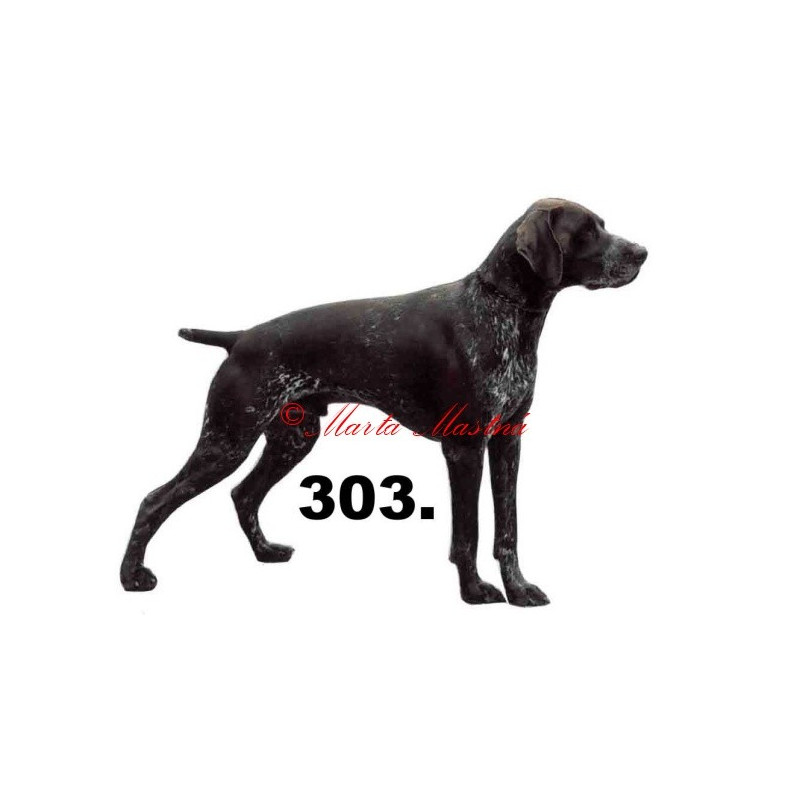 Německý krátkosrstý ohař hnědý - archiv