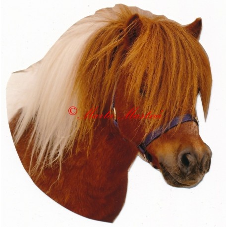 Samolepka shetlandský pony, kůň, koně
