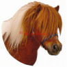 Samolepka shetlandský pony, kůň, koně