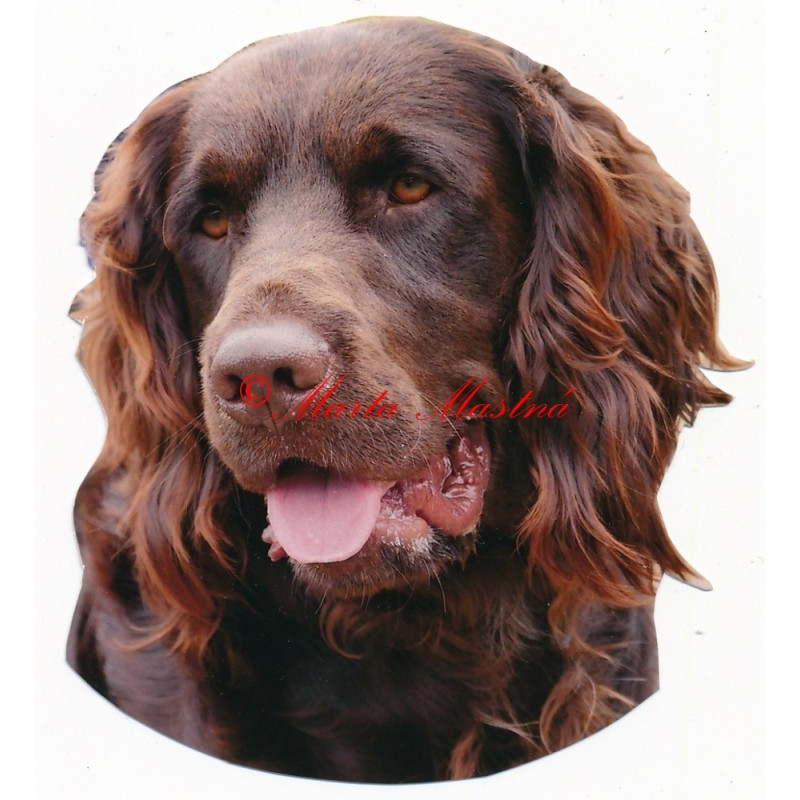 Samolepka německý křepelák