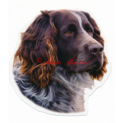 Samolepka německý křepelák