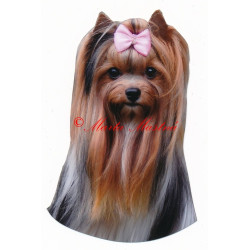 Samolepka biewer, jorkšír, yorkshire teriér