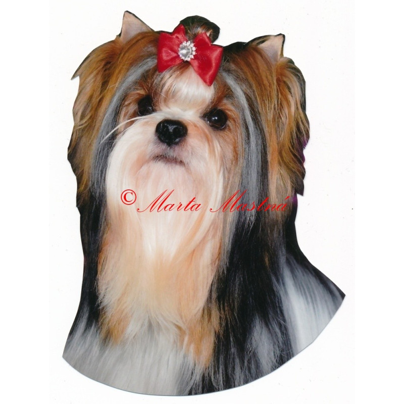 Samolepka biewer, jorkšír, yorkshire teriér