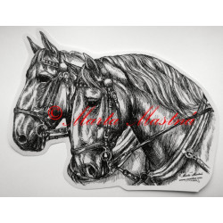 Samolepka kůň kladrubský