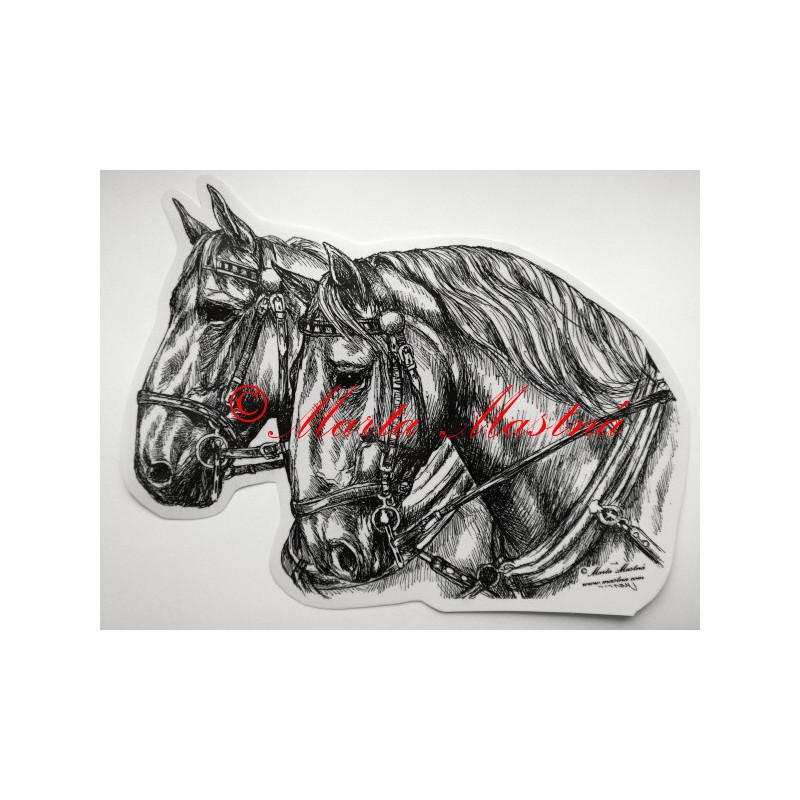 Samolepka kůň kladrubský