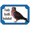 Cedulka holub hýl
