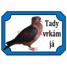 Cedulka holub hýl