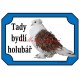 Cedulka holub kudrnáč