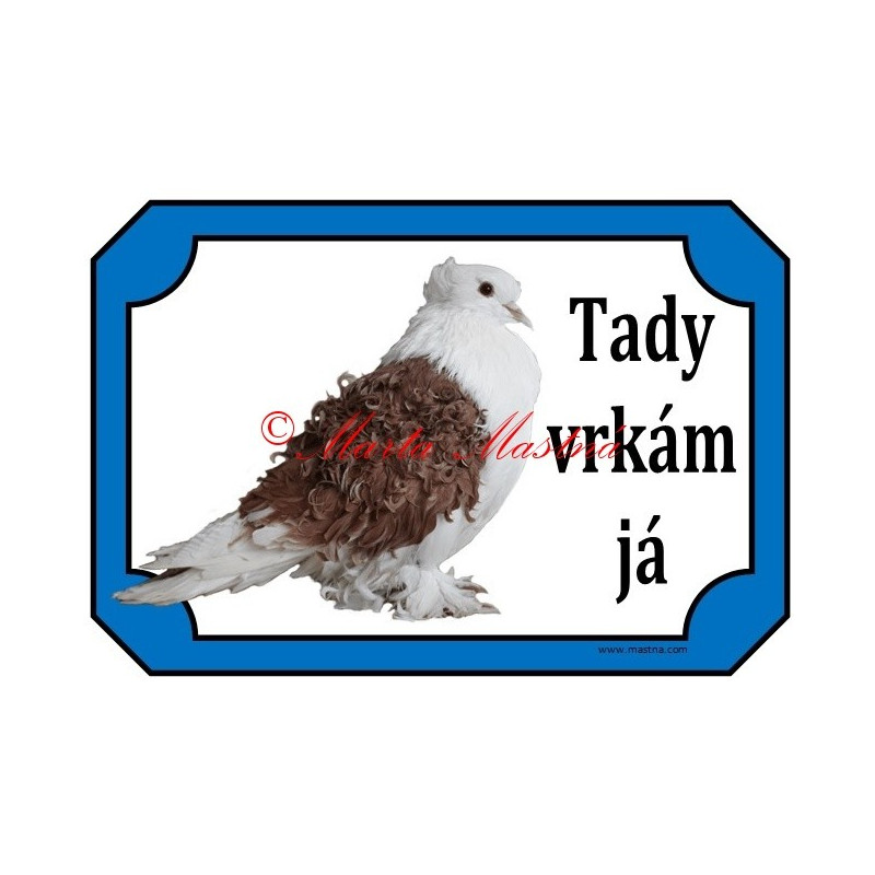 Cedulka holub kudrnáč
