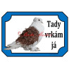 Cedulka holub kudrnáč