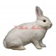 Samolepka králík český černopesíkatý