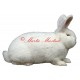 Samolepka králík novozélandský bílý