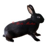 Samolepka králík rex černý