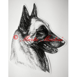 Belgický ovčák malinois