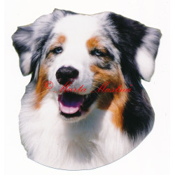 Samolepka australský ovčák