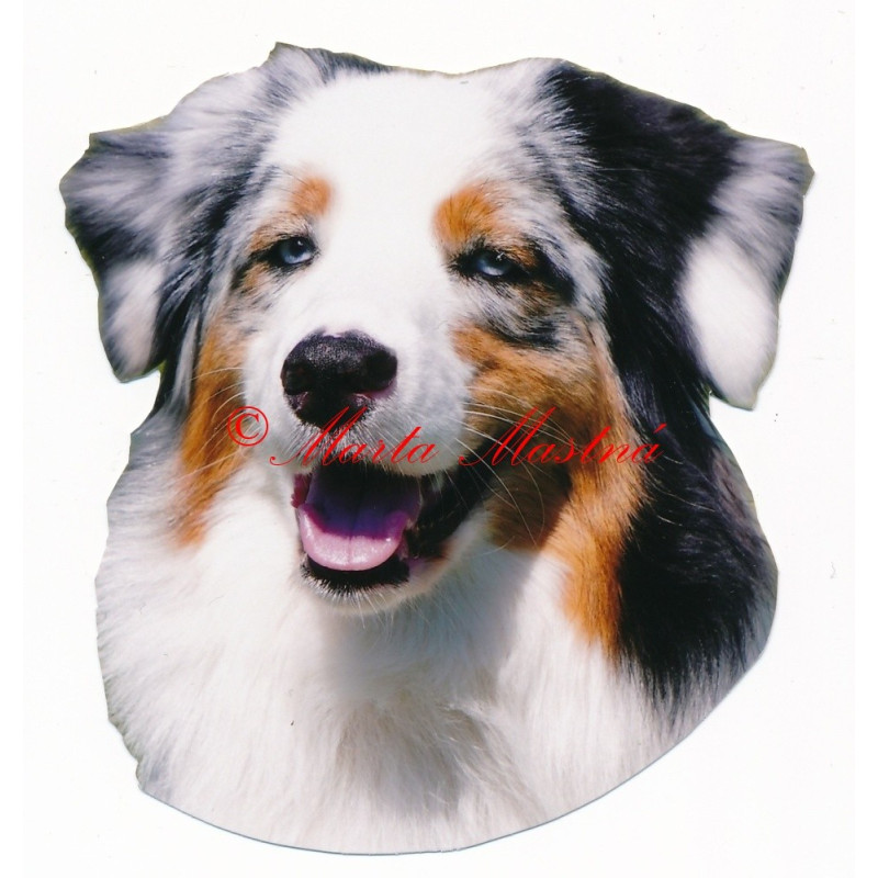 Samolepka australský ovčák