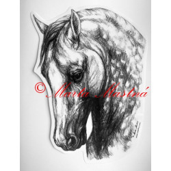 Samolepka kůň andaluzan, pura raza espaňola