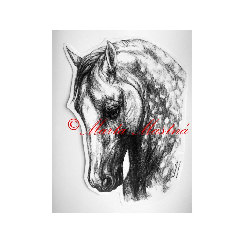 Samolepka kůň andaluzan, pura raza espaňola