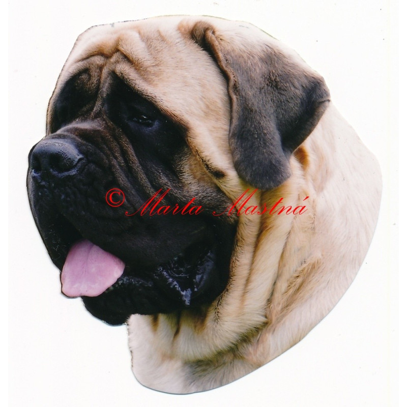 Samolepka mastif anglický