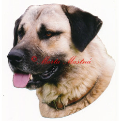 Samolepka anatolský pastevecký pes