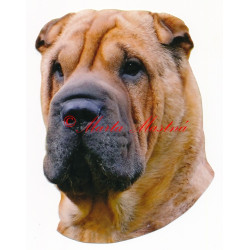 Samolepka šarpej, sharpei