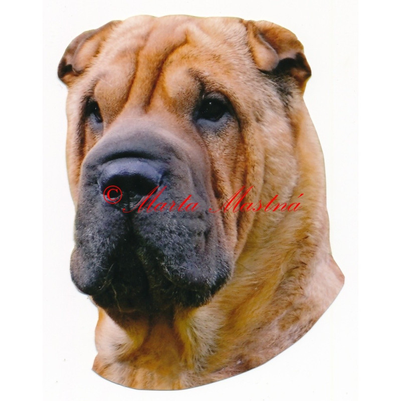 Samolepka šarpej, sharpei