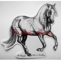 Samolepka kůň andaluzan, pura raza espaňola, samolepky koně