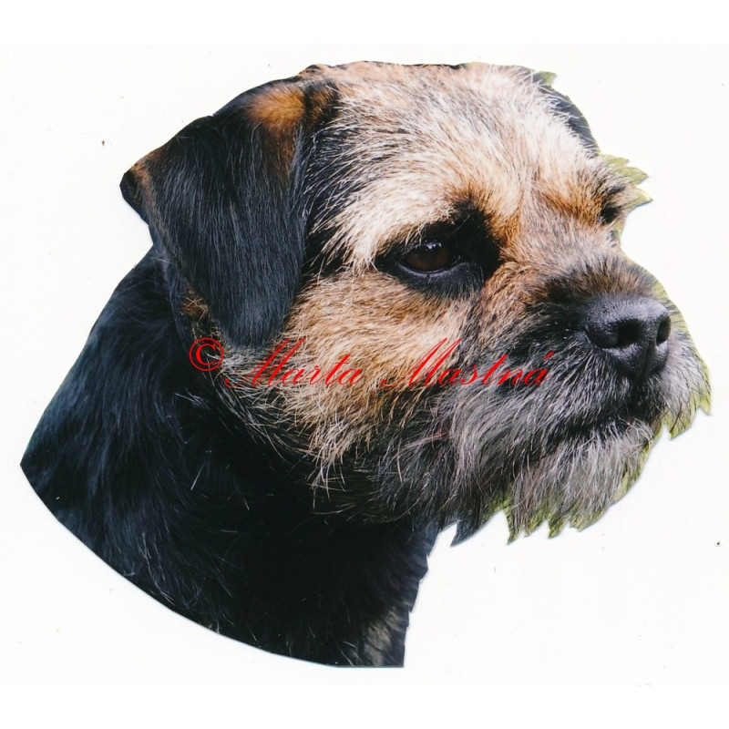 Samolepka border teriér