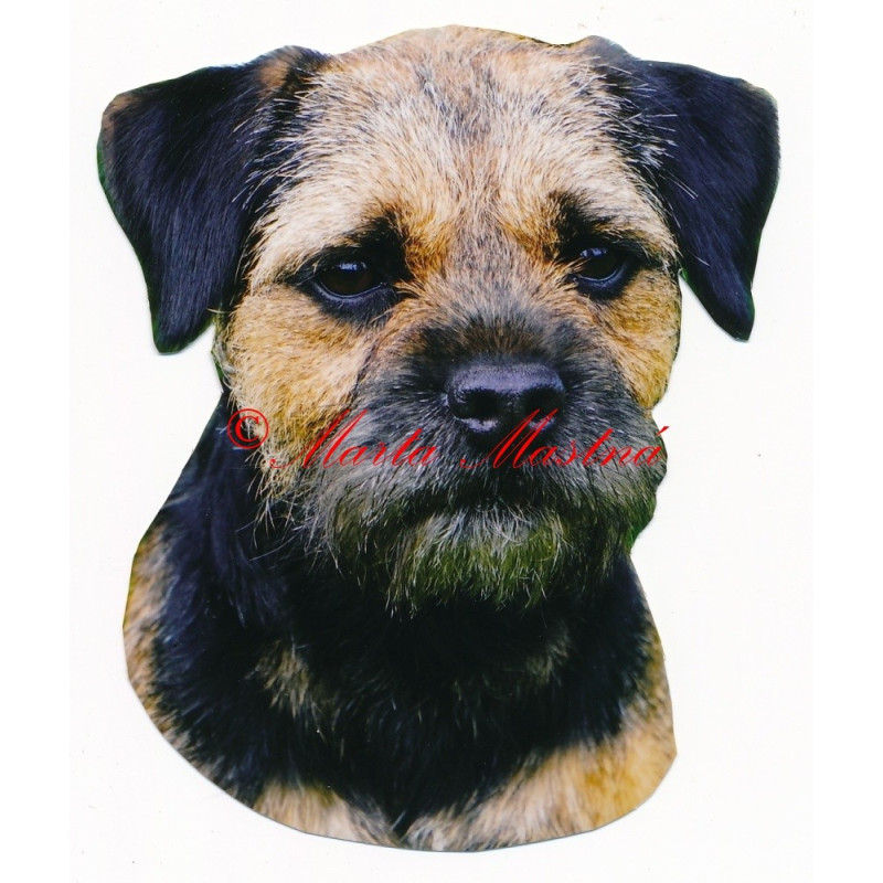 Samolepka border teriér