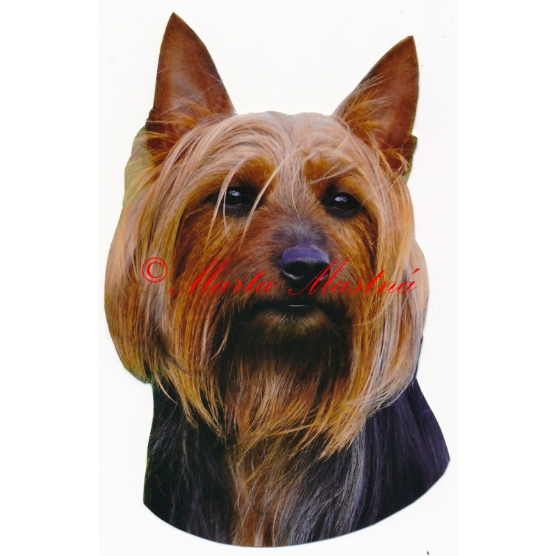 Samolepka australský silky teriér