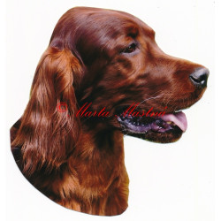 Samolepka irský setr