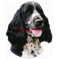 Samolepka špringršpaněl