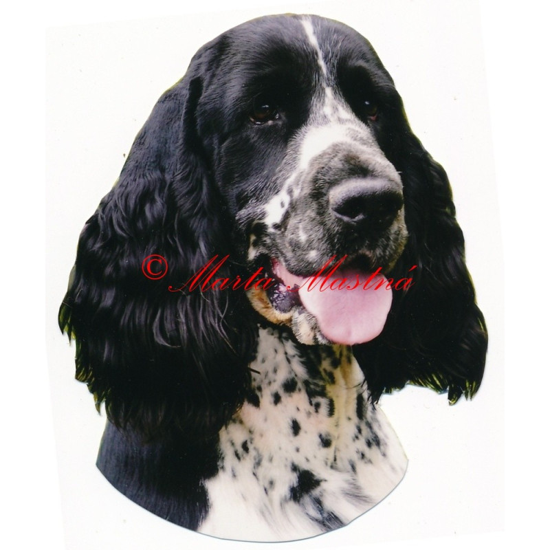 Samolepka špringršpaněl