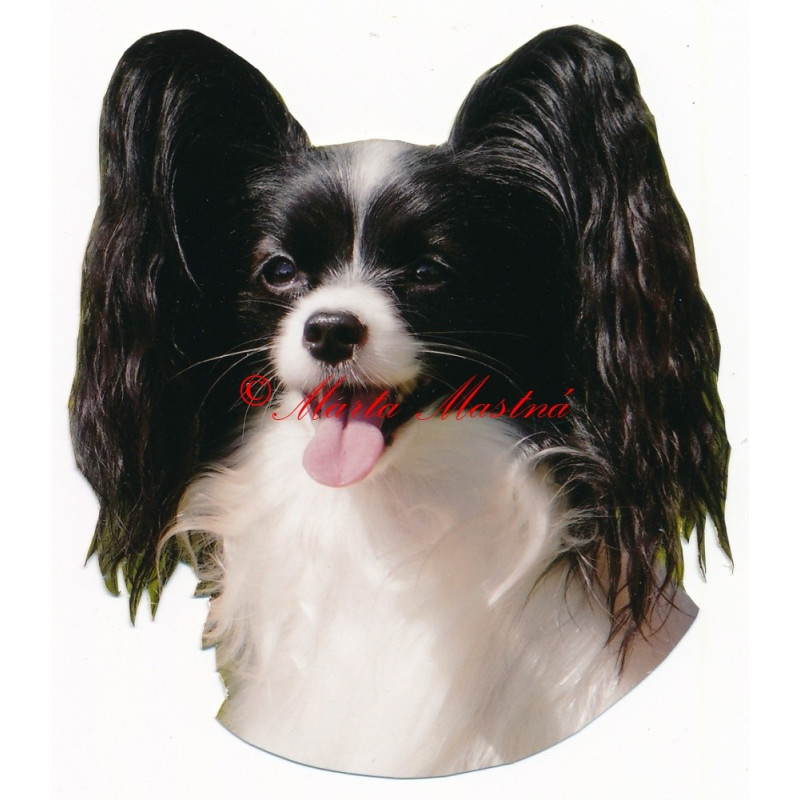 Samolepka papilon, motýlek